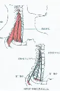 关于德布劳内高分数据敲定后续来了的信息|FG捕鱼官网入口
